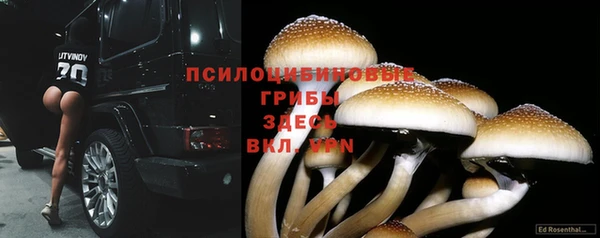 прущие крисы Волоколамск