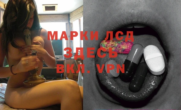 PSILOCYBIN Верхний Тагил