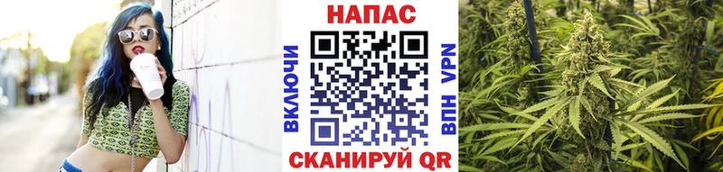 ссылка на мегу как войти  Голицыно  Конопля план  наркота 